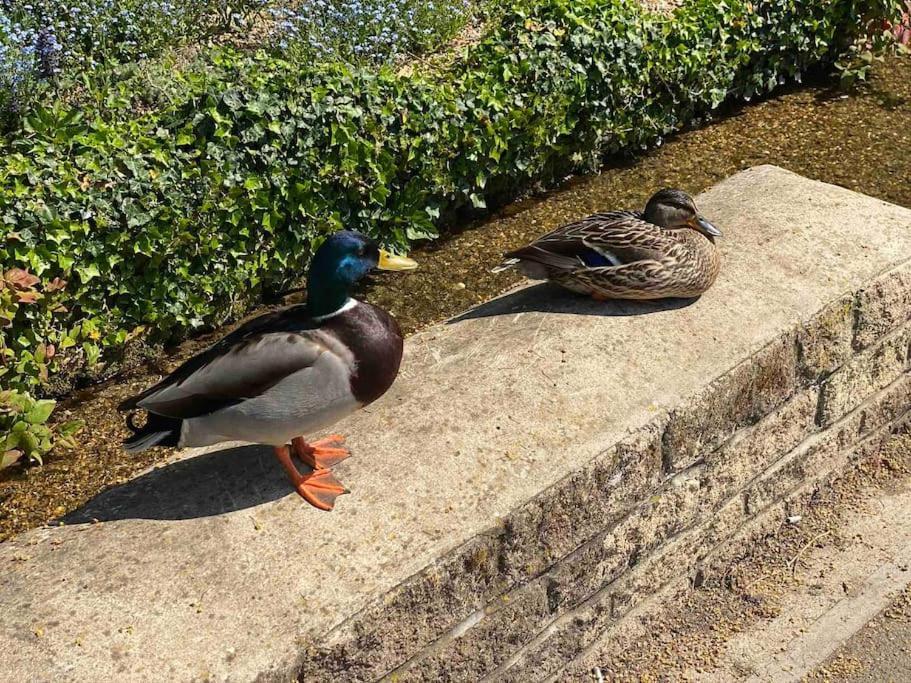 Вілла Beautiful Cotswold Couples Retreat Bourton-on-the-Water Екстер'єр фото